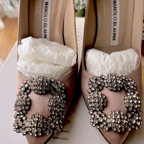 Manolo Blahnik Hangisi Pumps - Picture 8 of 10